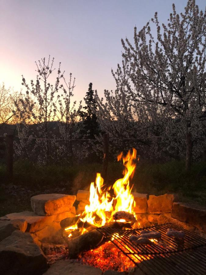 Agriturismo Il Covo Del Solengo Βίλα Valtopina Εξωτερικό φωτογραφία