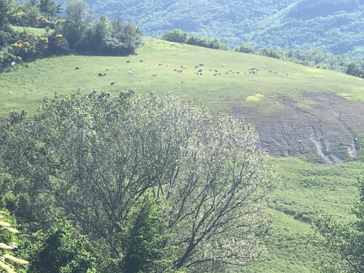 Agriturismo Il Covo Del Solengo Βίλα Valtopina Εξωτερικό φωτογραφία