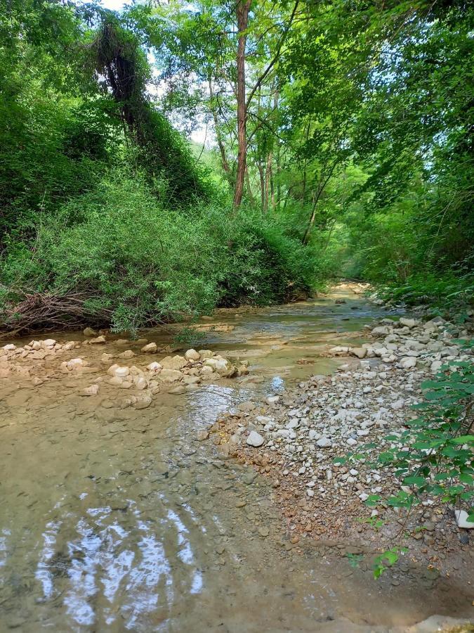 Agriturismo Il Covo Del Solengo Βίλα Valtopina Εξωτερικό φωτογραφία