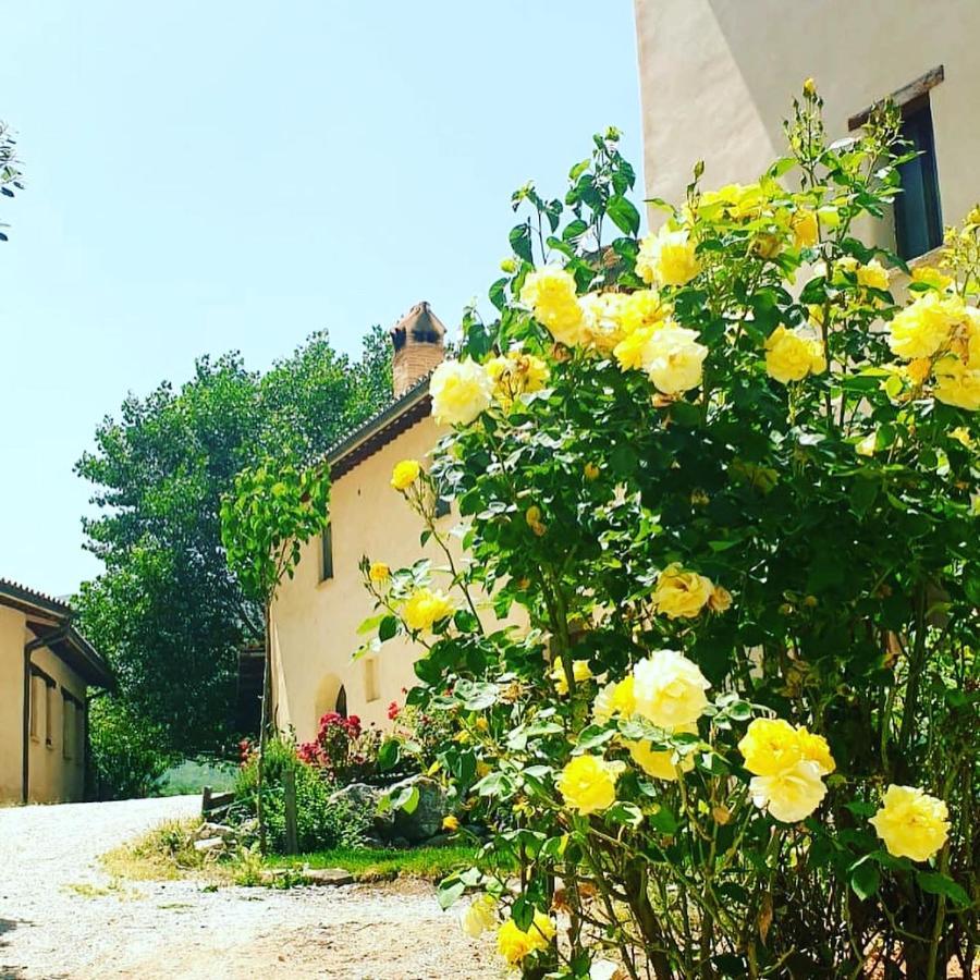 Agriturismo Il Covo Del Solengo Βίλα Valtopina Εξωτερικό φωτογραφία