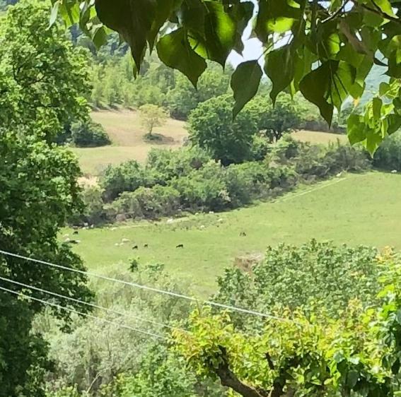 Agriturismo Il Covo Del Solengo Βίλα Valtopina Εξωτερικό φωτογραφία