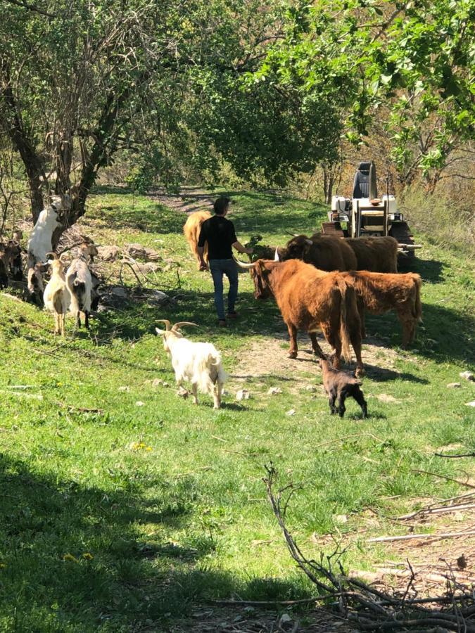 Agriturismo Il Covo Del Solengo Βίλα Valtopina Εξωτερικό φωτογραφία